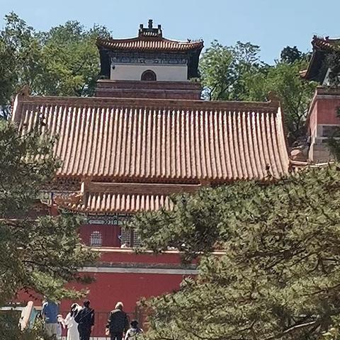 游颐和园