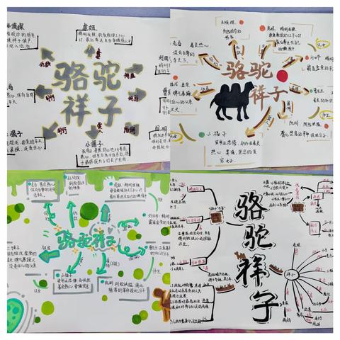 寒假作业展风采 不负时光向未来 ——育秀学校寒假特色作业展评