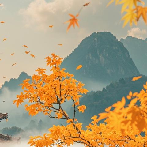 金秋重阳 医保送关爱