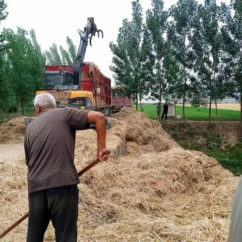 新站镇：新站镇6月6日人居环境整治及秸秆清运工作纪实