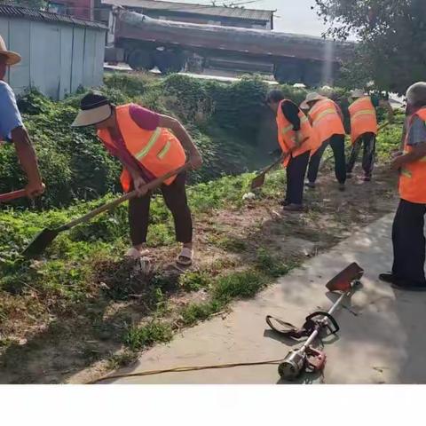 新站镇：新站镇6月7日人居环境整治工作纪实