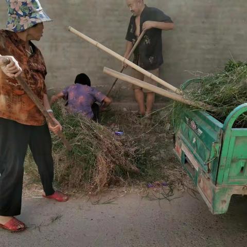 新站镇：新站镇6月9日人居环境整治工作纪实