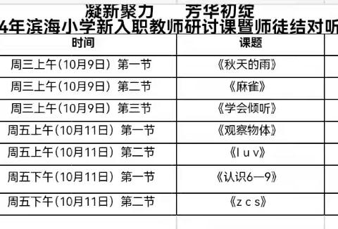 凝新聚力      芳华初绽 ——2024年滨海小学新入职教师研讨课暨师徒结对听评课活动