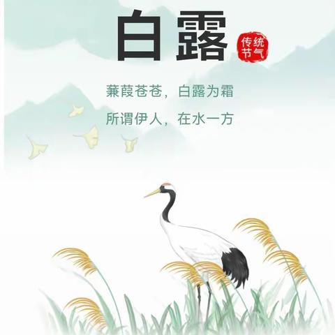 【文化传承】白露至，秋意浓——永宁县武河幼儿园二十四节气之白露