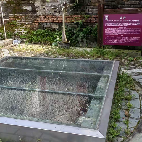 八坊古城三下乡——访信宜窦州古城    Day 2