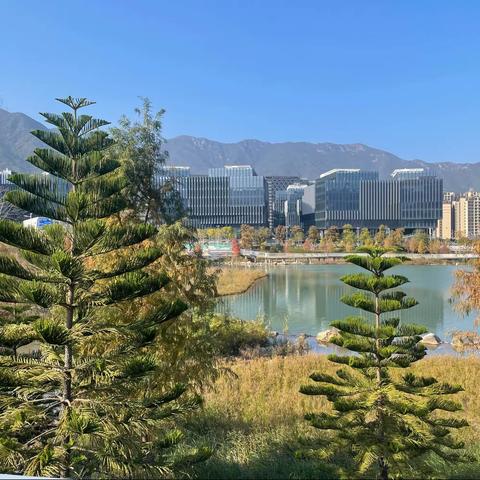 坝光片区防洪（潮）排涝工程Ⅱ标复工复产情况汇报
