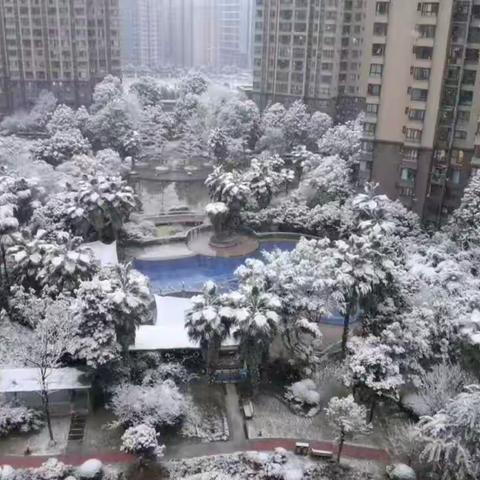 窗外的雪