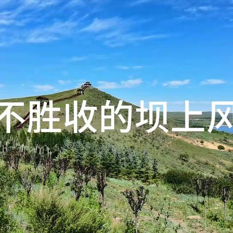 美不胜收的坝上风景#自然风光#草原#湖泊