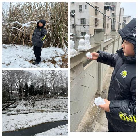 下雪啦。    张马金泽