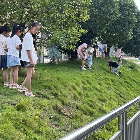 长湖之夏---服装篇（长湖中心学校美在田野公益项目实践）