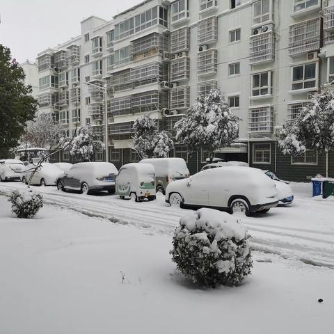 油坊堤村：紧急清理积雪，保障安全出行