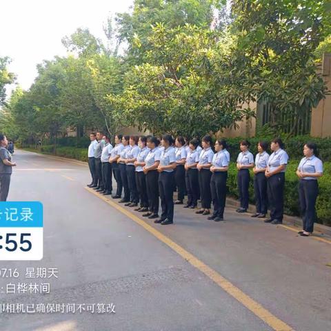 白桦林间2023年7月16日工作简报