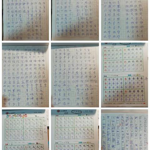 沈霖妍第四周暑假作业