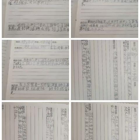 沈霖妍第五周作业