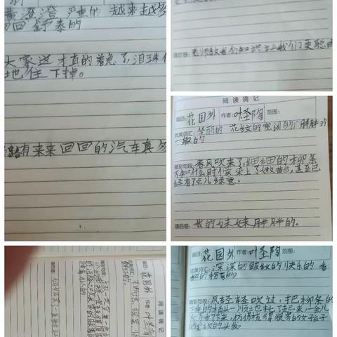 沈霖妍第六周作业