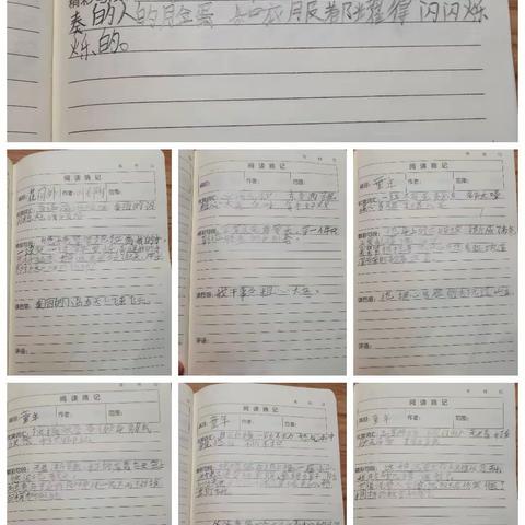 沈霖妍第七周作业