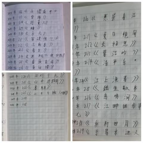 沈霖妍寒假作业