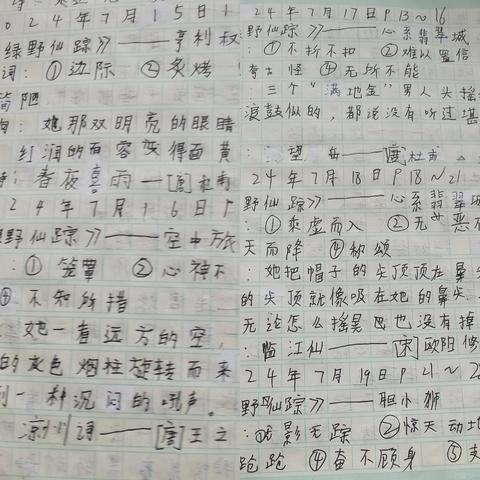 沈霖妍暑假第二次作业