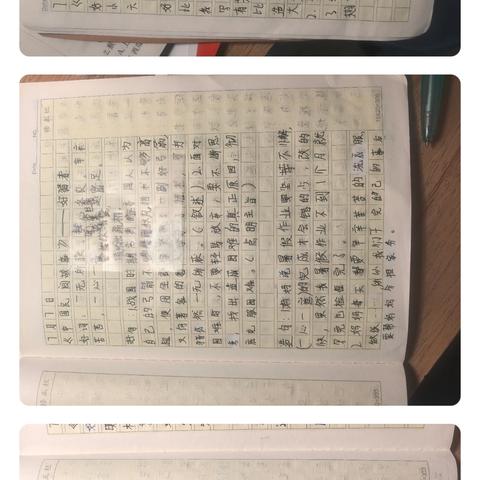 沈霖妍作业（第一次）