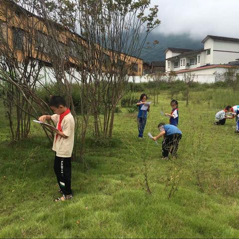 民族村童伴之家“寻找秋天”主题活动