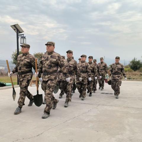 阳春三月正当时  民兵植树展风采——北山口镇武装部组织民兵开展学雷锋义务植树志愿服务活动