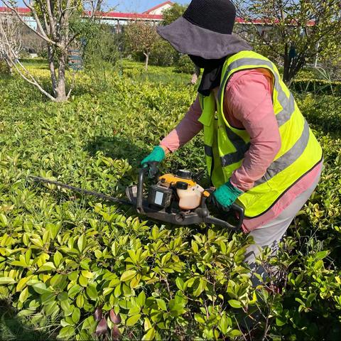 祥符区“三化、绿化”指挥部日常