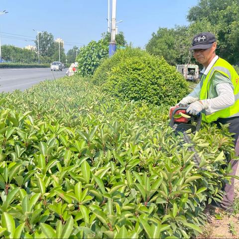 祥符区“三化、绿化”指挥部日常