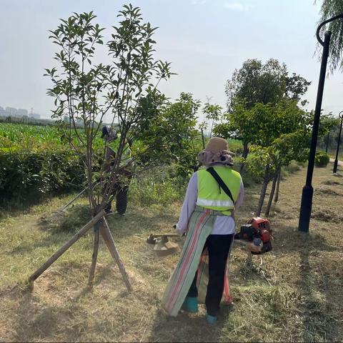 祥符区“三化、绿化”指挥部日常