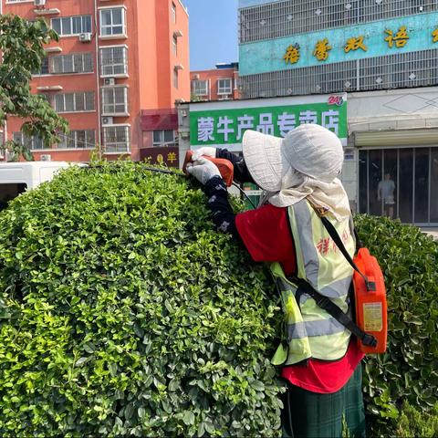 祥符区“三化、绿化”指挥部日常