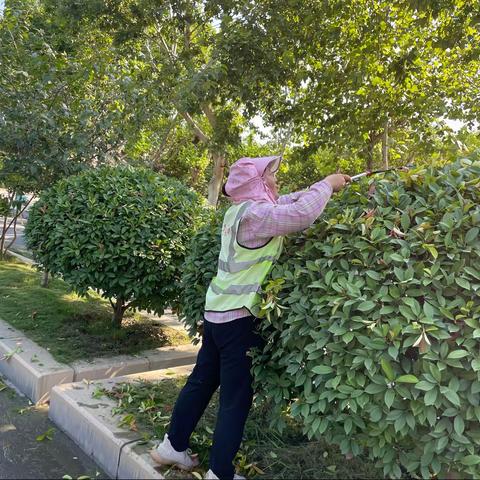 祥符区“三化、绿化”指挥部日常