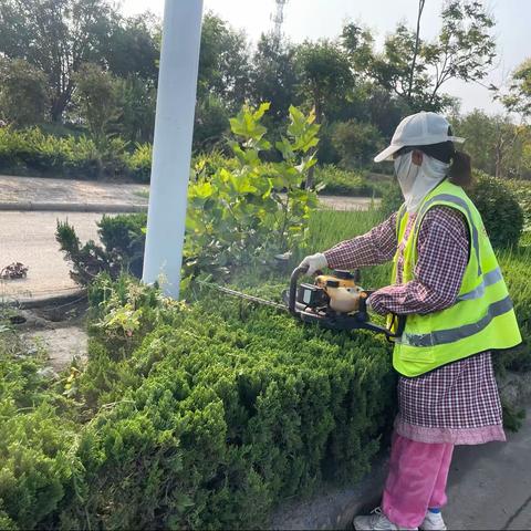 祥符区“三化、绿化”指挥部日常