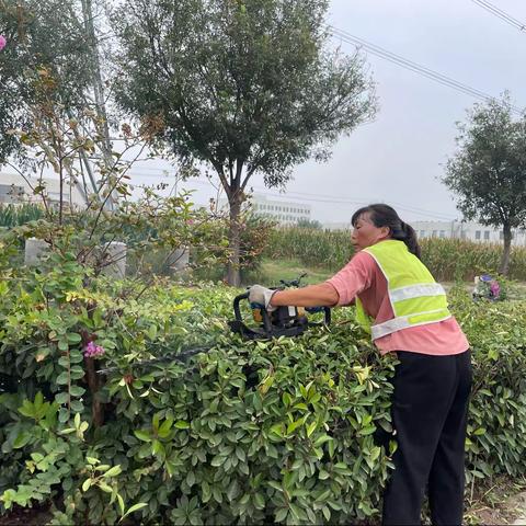 祥符区“三化、绿化”指挥部日常