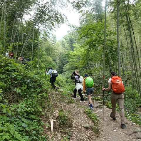 重上武功山