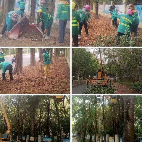 三亚市吉阳区园林绿地所 关于市民反馈迎春路绿化养护管理不到位问题的情况说明