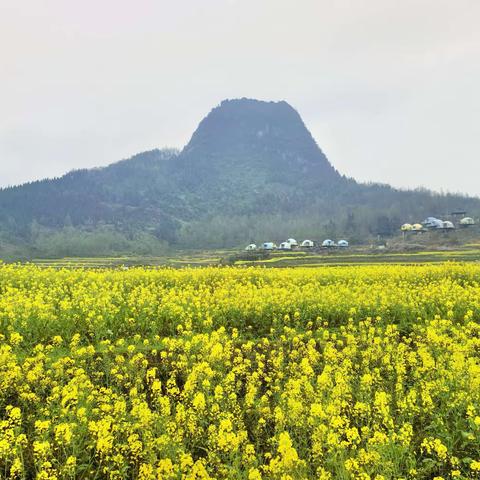 踏青出游，不负春光