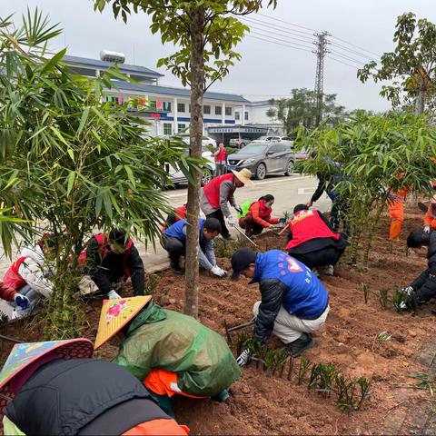 补植复绿  爱护生态——白沙县住建局党支部联合白沙县市容中心党支部、白沙玉禾田环境工程有限公司党支部开展义务补植主题党日活动