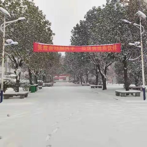 寒假智慧绽放，我们的作业展示