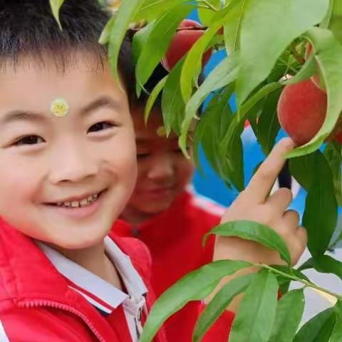 新生入园，家长最关心的问题