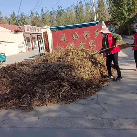 打造生态魅力乡村，共建美好家园