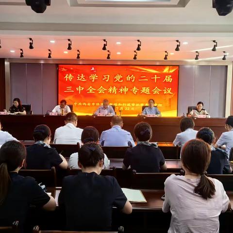 区数据和行政审批局党组传达学习党的二十届三中全会精神