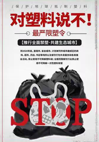 定城镇恒艺幼儿园——禁塑主题教育教学活动