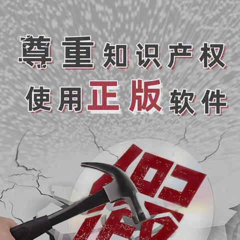 尊重知识产权 使用正版软件