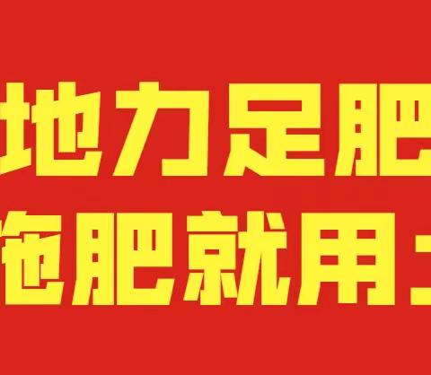水稻高产苗期的重要性