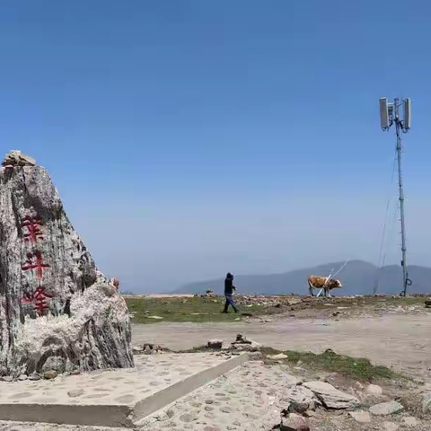 华北屋脊绽放联通5G之花