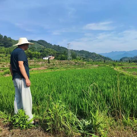 东垅水库管理所放水灌溉保抗旱