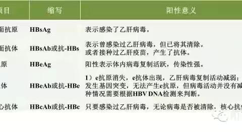 大小三阳、大小二阳、恢三阳、恢二阳，史上最全乙肝两对半检验报告解读