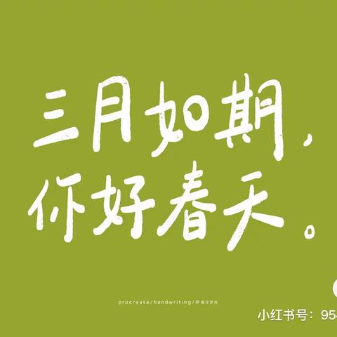 花地湖工园中二班