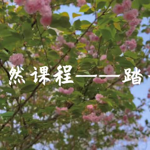 花地湖工园中二班自然课程主题活动《人间四月天》