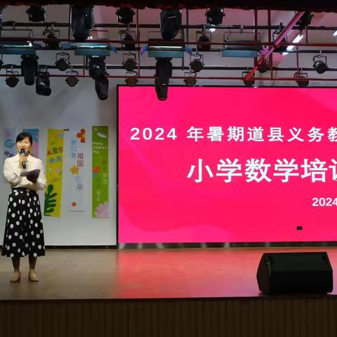 数海拾贝：小学数学培训的璀璨之旅——2024年暑期义务教育阶段小学数学培训