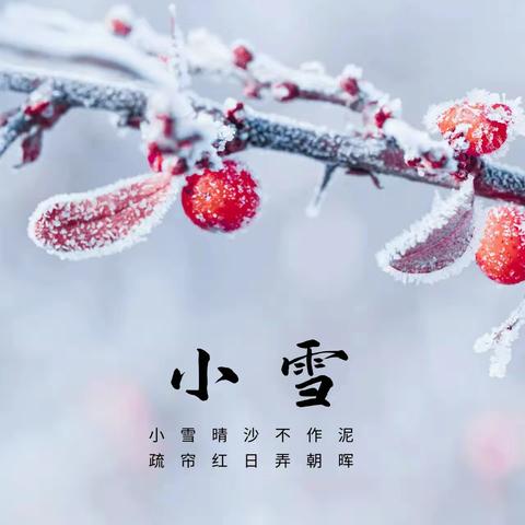 【能力提升年 赋能共前行】“幼”见小雪，温暖迎冬——昌平区延寿镇中心幼儿园中班小雪主题活动